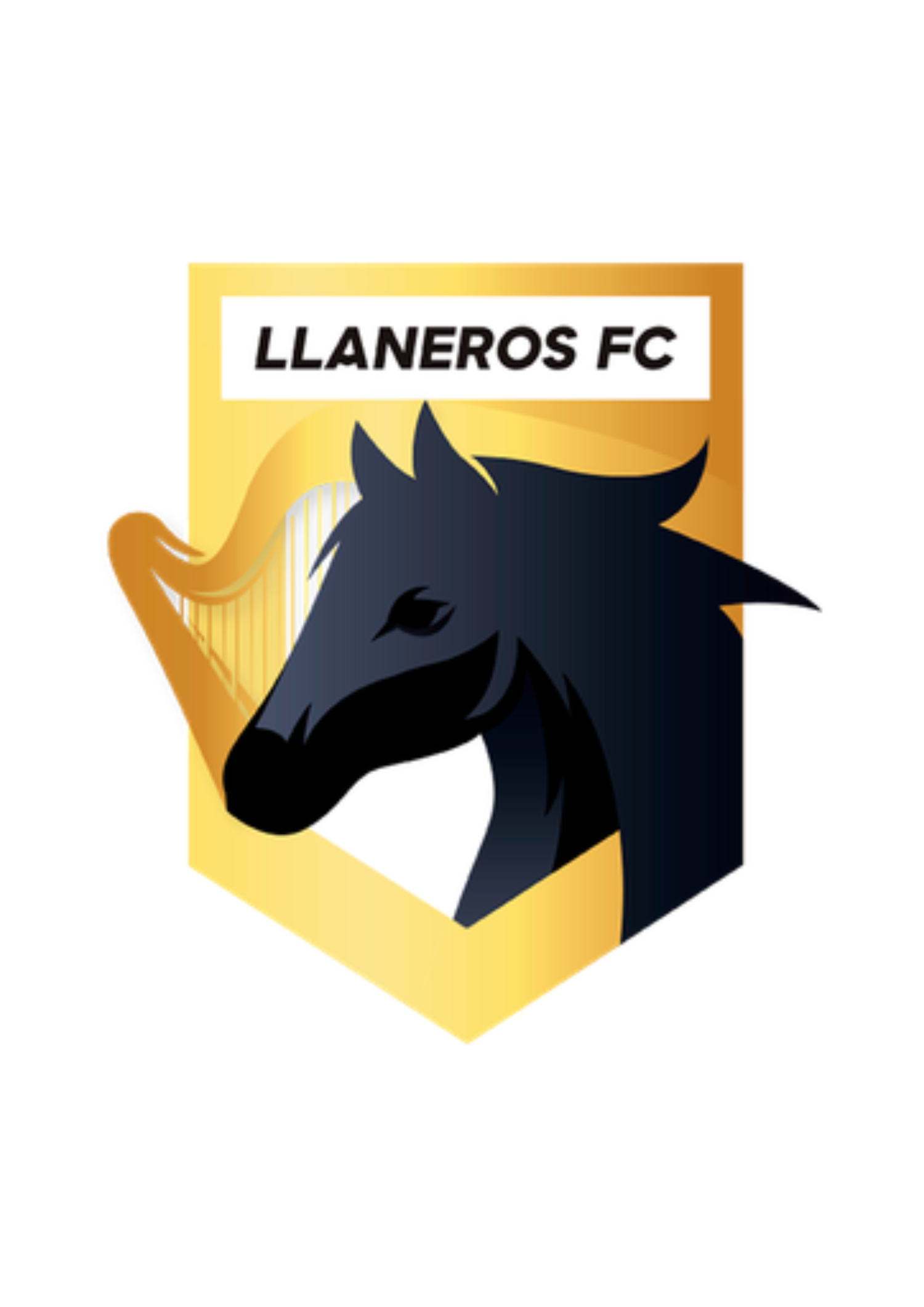 Llaneros FC