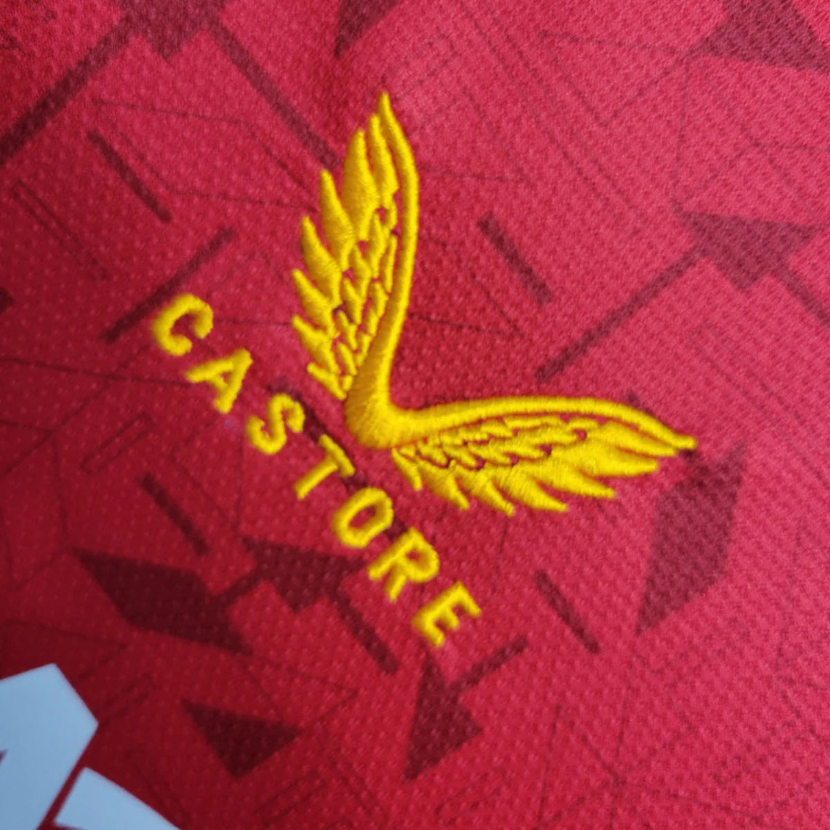 Wolves Alternativa 23/24