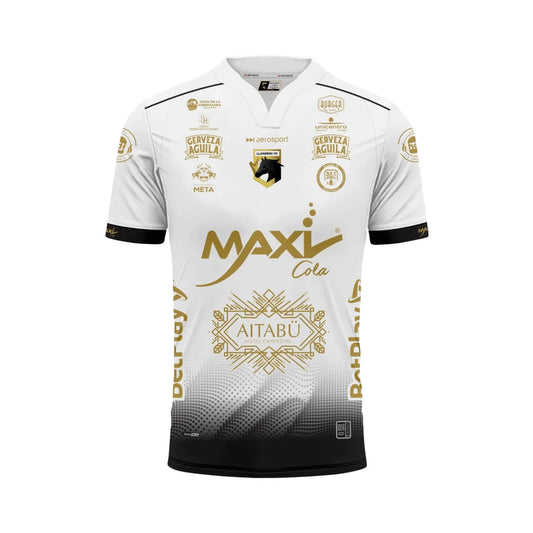 Llaneros FC Principal 25/26