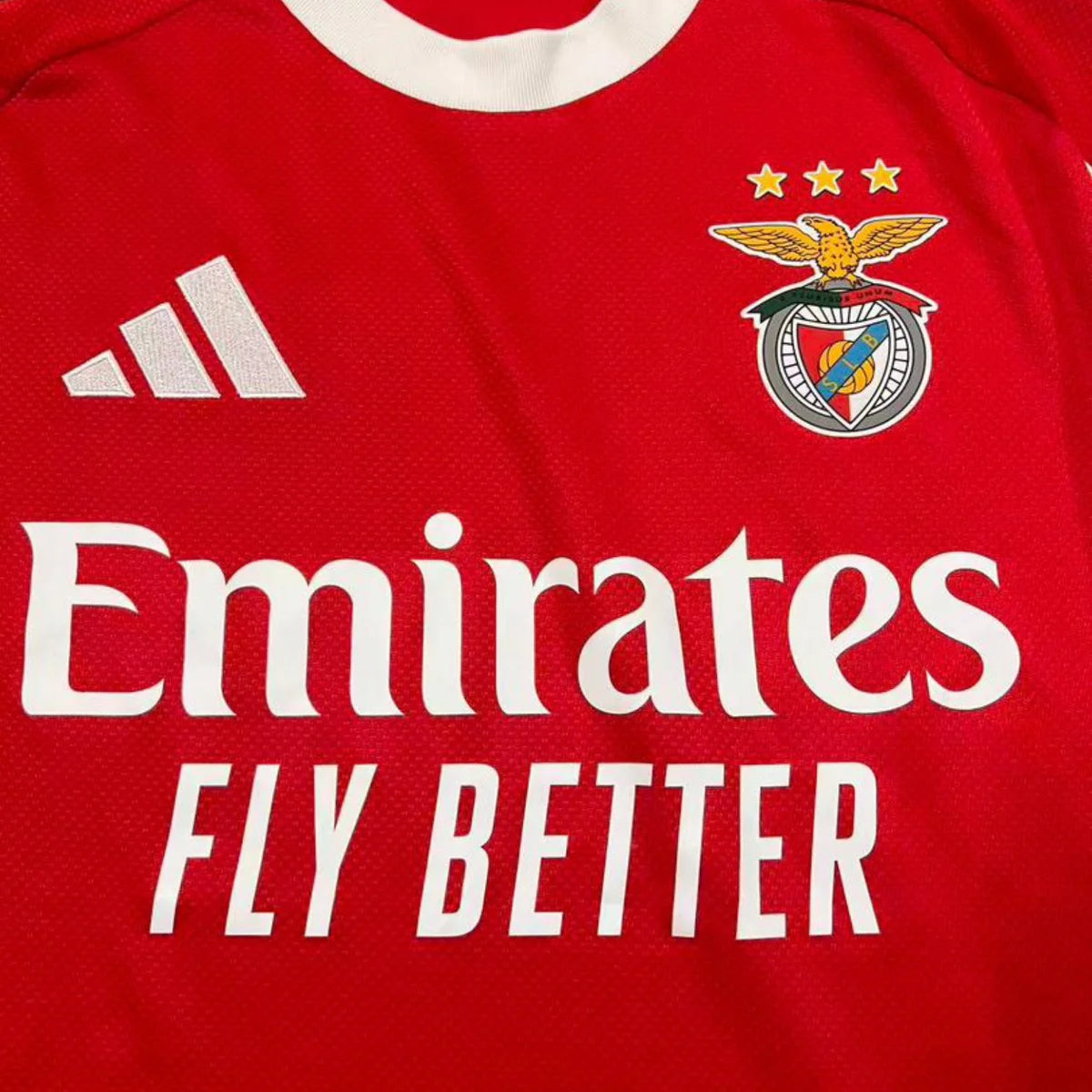 Benfica Principal 25/26